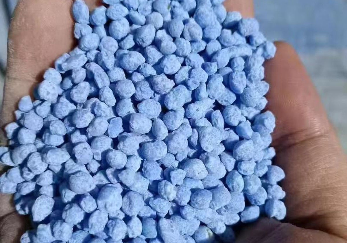 Blue granular fertilizer sample in hand
