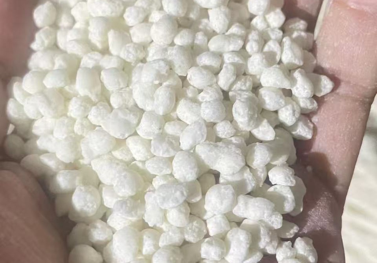 White granular fertilizer sample in hand